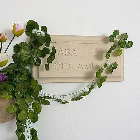 Casa Lilla & Ciclamino Maison d'hôtes
